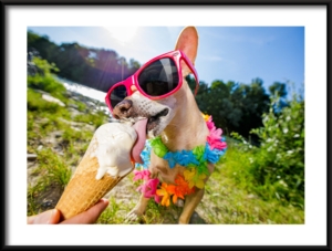 Plakat Apetyczne Lody