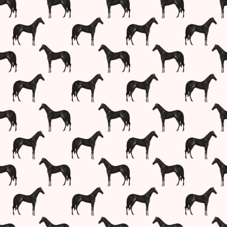 Fototapeta Galop Elegancji