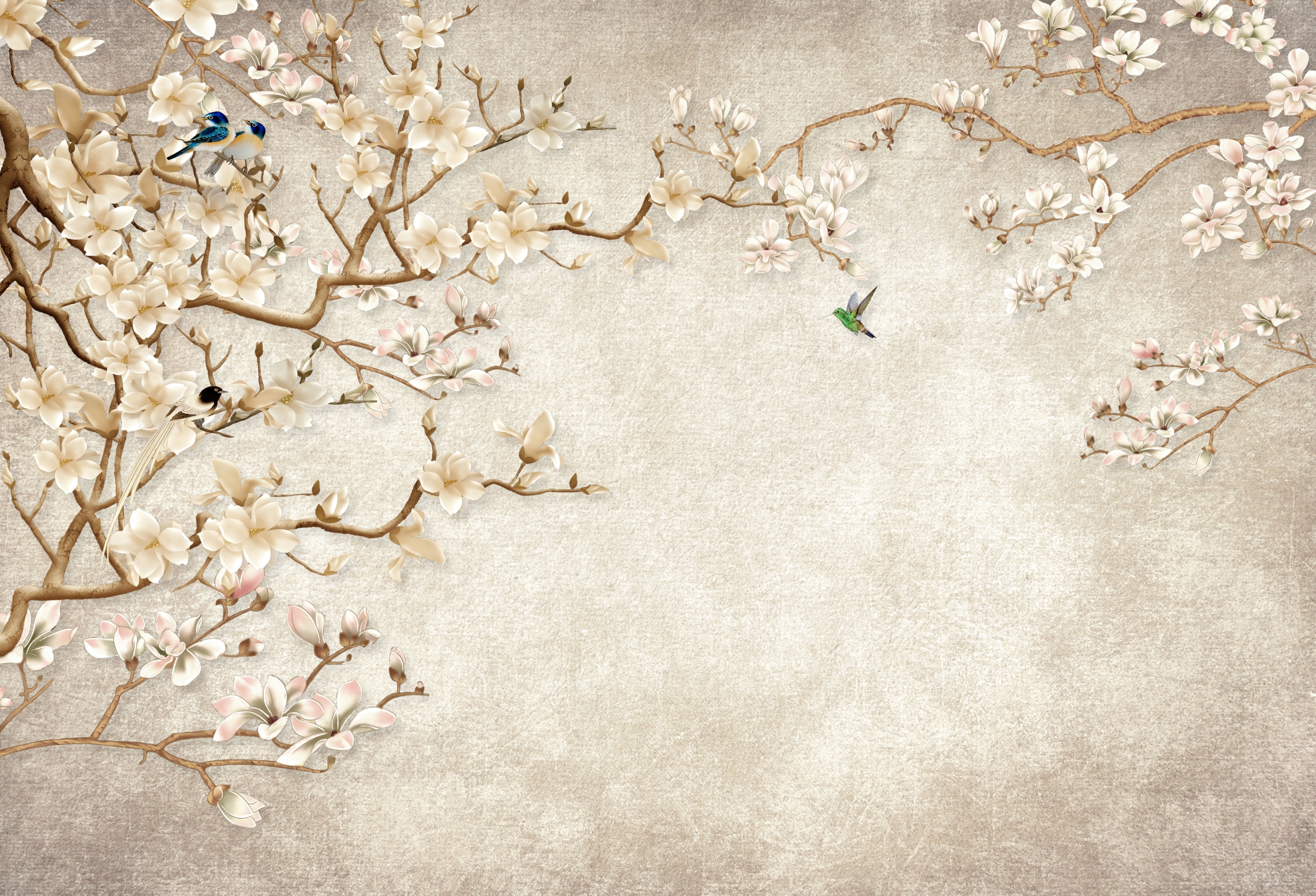 Fototapeta Pięknie Kwitnąca Magnolia Fototapeta Pięknie Kwitnąca Magnolia